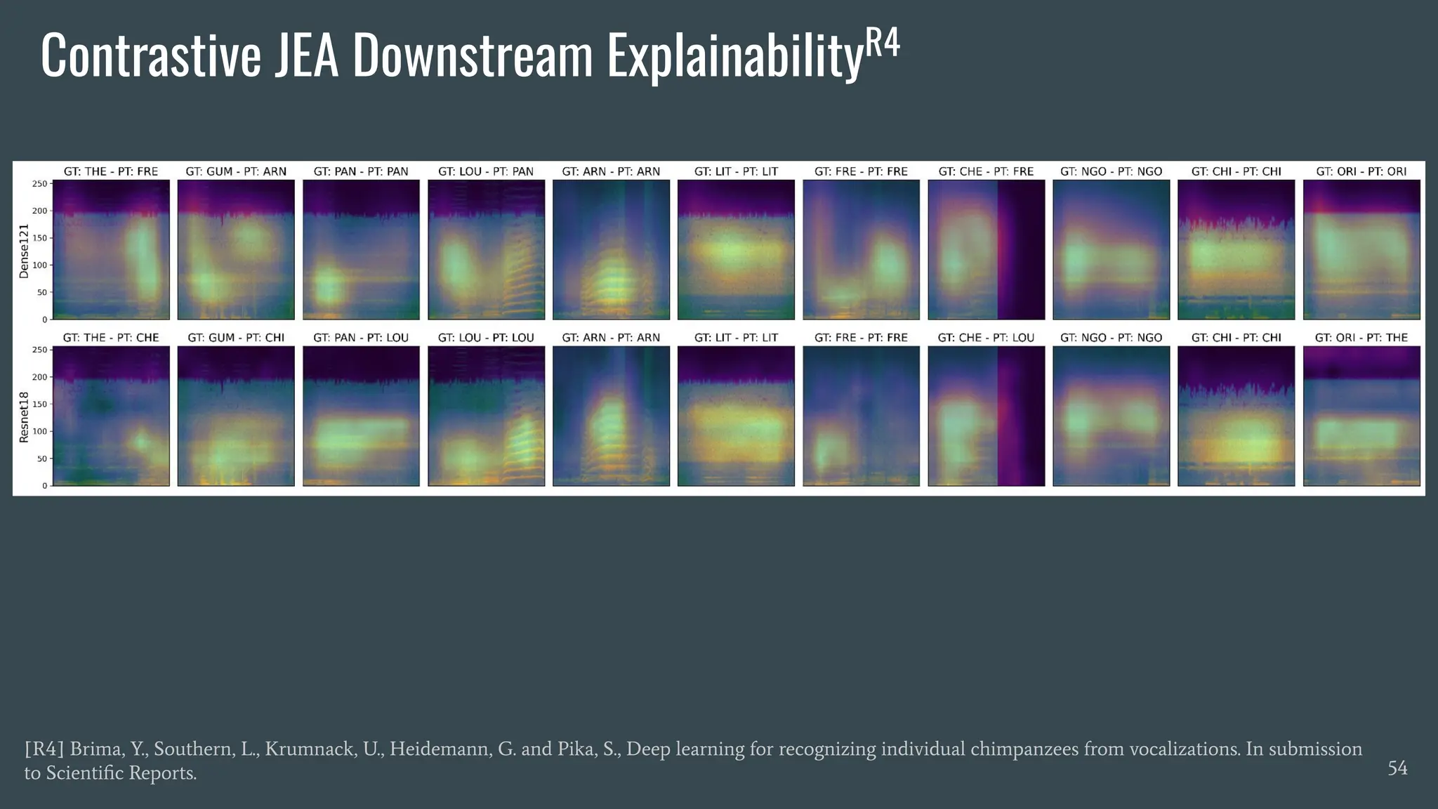 Contrastive JEA Downstream ExplainabilityR4
54
[R4] Brima, Y., Southern, L., Krumnack, U., Heidemann, G. and Pika, S., Deep learning for recognizing individual chimpanzees from vocalizations. In submission
to Scientiﬁc Reports.
 