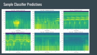 Sample Classiﬁer Predictions
 