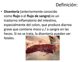 Definición:
• Disentería (anteriormente conocido
  como flujo o el flujo de sangre) es un
  trastorno inflamatorio del intestino,
  especialmente del colon, que produce diarrea
  grave que contiene moco y / o sangre en las
  heces. Si no se trata, la disentería pueden ser
  fatales.
 