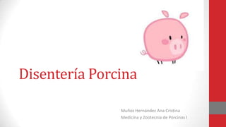 Disentería Porcina
Muñoz Hernández Ana Cristina
Medicina y Zootecnia de Porcinos I
 