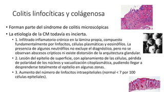 Colitis linfocíticas y colágenosa
• Forman parte del síndrome de colitis microscópicas
• La etiología de la CM todavía es incierta.
• 1. Infiltrado inflamatorio crónico en la lámina propia, compuesto
fundamentalmente por linfocitos, células plasmáticas y eosinófilos. La
presencia de algunos neutrófilos no excluye el diagnóstico, pero no se
observan abscesos crípticos ni existe distorsión de la arquitectura glandular.
• 2. Lesión del epitelio de superficie, con aplanamiento de las células, pérdida
de polaridad de los núcleos y vacuolización citoplasmática, pudiendo llegar a
desprenderse totalmente el epitelio en algunas zonas.
• 3. Aumento del número de linfocitos intraepiteliales (normal < 7 por 100
células epiteliales).
 