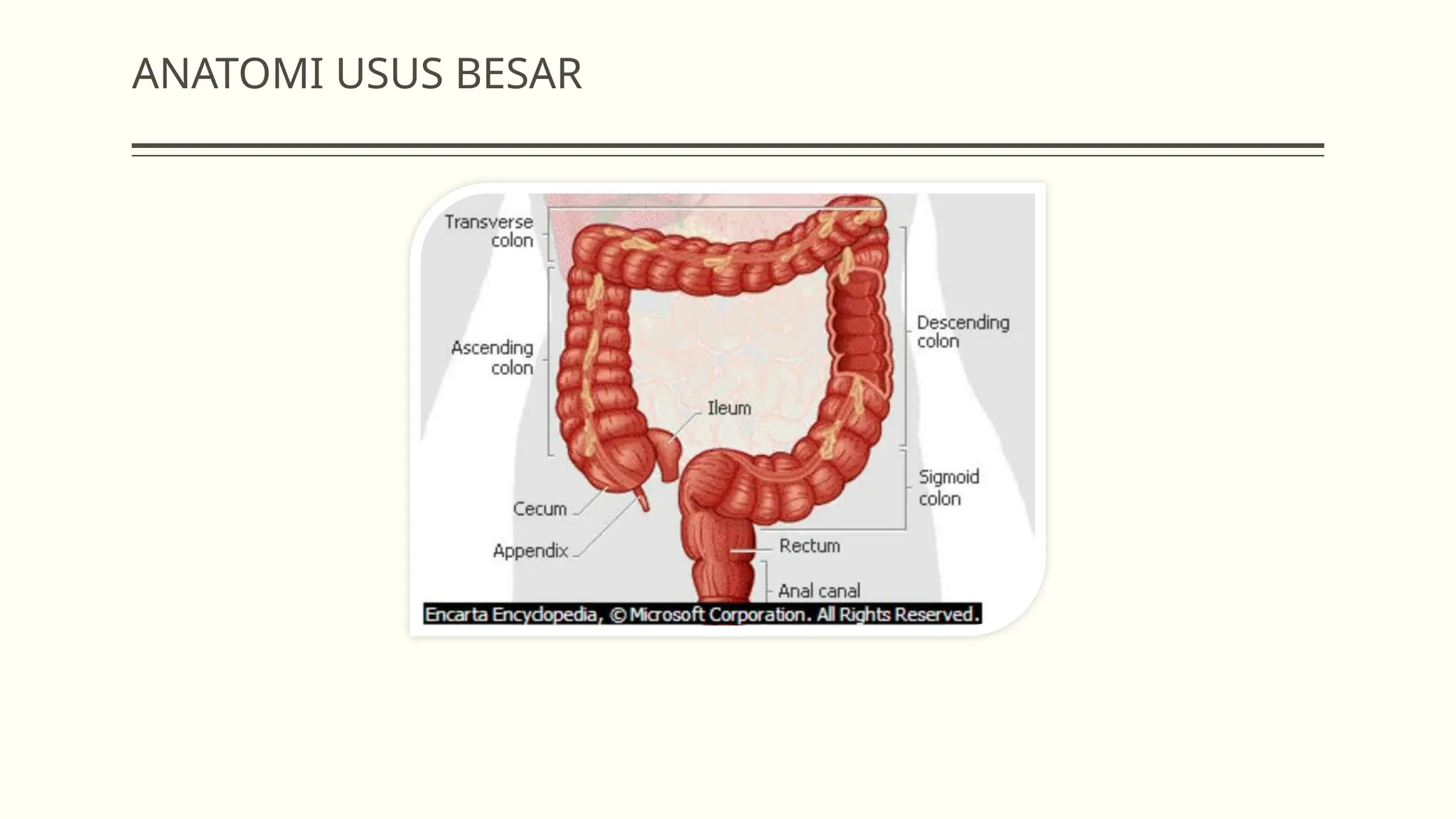 disentri gejala, penanganan,obat-190910064259.pptx