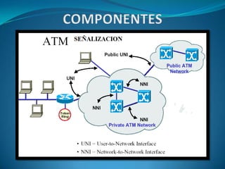 Permanent Virtual Circuits (PVC). Relacionesentre conexionesATMCamino virtualRuta física de transmisiónCanales virtuales