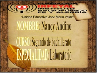 “Unidad Educativa José María Velaz” 
 