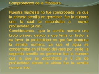 Comprobación de la Hipótesis: Nuestra hipótesis no fue comprobada, ya que la primera semilla en germinar  fue la número uno, la cual se encontraba a  mayor profundidad (9 cm) .  Consideramos  que la semilla numero uno broto primero debido a que tenia un factor a su favor, la profundidad en que fue plantada la semilla número, ya que el agua se concentraba en el fondo del vaso por  ende  la segunda semilla en germinar fue la numero dos la que se encontraba a 6 cm de profundidad siendo la ultima fue la semilla numero tres. 