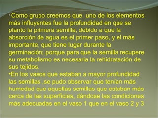Como grupo creemos que  uno de los elementos más influyentes fue la profundidad en que se planto la primera semilla, debido a que l a absorción de agua es el primer paso, y el más importante, que tiene lugar durante la germinación; porque para que la semilla recupere su metabolismo es necesaria la rehidratación de sus tejidos. En los vasos que estaban a mayor profundidad las semillas ,se pudo observar que tenían más humedad que aquellas semillas que estaban más cerca de las superficies, dándose las condiciones más adecuadas en el vaso 1 que en el vaso 2 y 3 