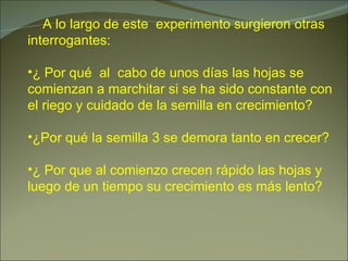 A lo largo de este  experimento surgieron otras interrogantes: ¿ Por qué  al  cabo de unos días las hojas se comienzan a marchitar si se ha sido constante con el riego y cuidado de la semilla en crecimiento? ¿Por qué la semilla 3 se demora tanto en crecer? ¿ Por que al comienzo crecen rápido las hojas y luego de un tiempo su crecimiento es más lento? 