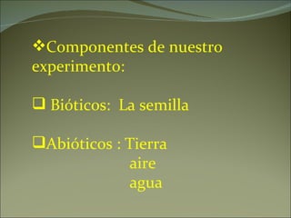 Componentes de nuestro  experimento: Bióticos:  La semilla Abióticos : Tierra aire agua 