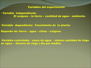 Variables del experimento: Variable  independiente:  El oxigeno – la tierra – cantidad de agua – ambiente. Variable  dependiente:  Crecimiento de  la planta: Depende de: tierra – agua – clima – oxigeno. Variable controlada:  vasos de agua  - misma cantidad de riego en agua. – Horario de riego ( día por medio). 