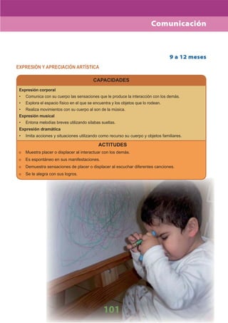 DiseñO Curricular Nacional 2009