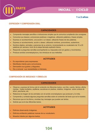 DiseñO Curricular Nacional 2009