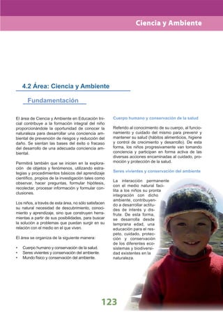 DiseñO Curricular Nacional 2009