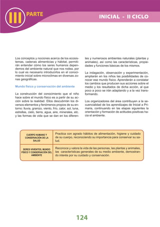 DiseñO Curricular Nacional 2009