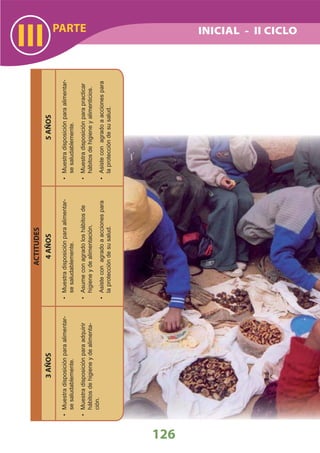 DiseñO Curricular Nacional 2009