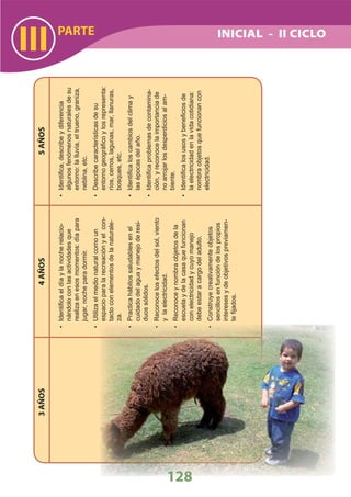 DiseñO Curricular Nacional 2009