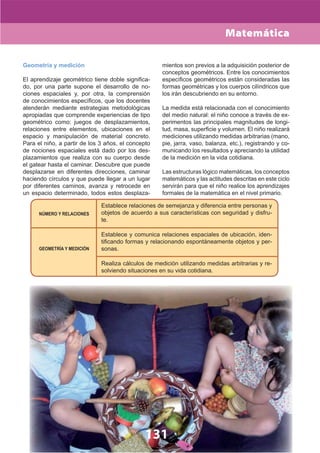 DiseñO Curricular Nacional 2009