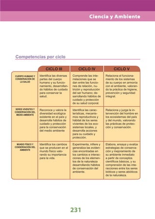 DiseñO Curricular Nacional 2009