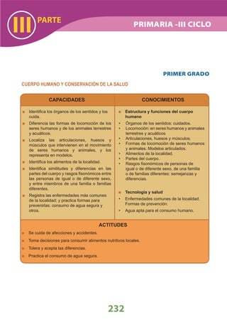 DiseñO Curricular Nacional 2009