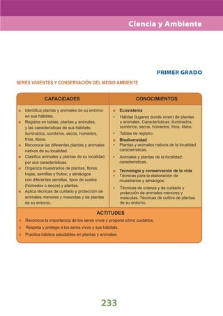 DiseñO Curricular Nacional 2009