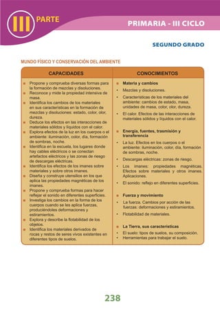 DiseñO Curricular Nacional 2009