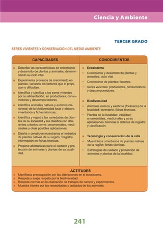 DiseñO Curricular Nacional 2009