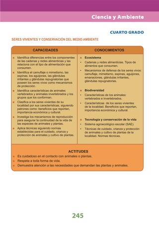 DiseñO Curricular Nacional 2009