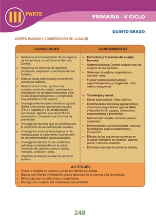 DiseñO Curricular Nacional 2009