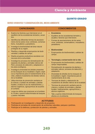 DiseñO Curricular Nacional 2009