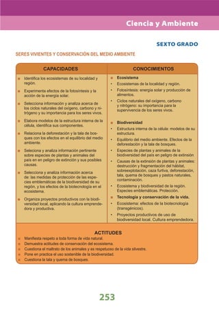 DiseñO Curricular Nacional 2009