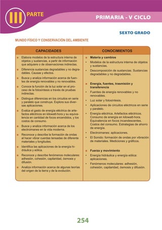 DiseñO Curricular Nacional 2009