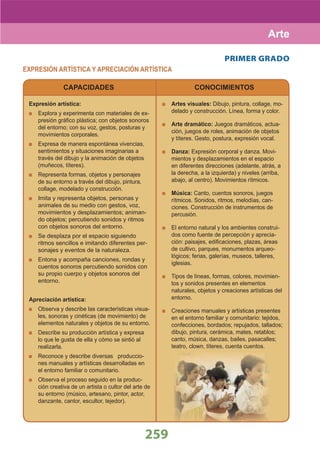 DiseñO Curricular Nacional 2009