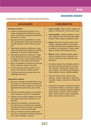 DiseñO Curricular Nacional 2009