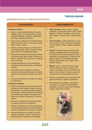 DiseñO Curricular Nacional 2009