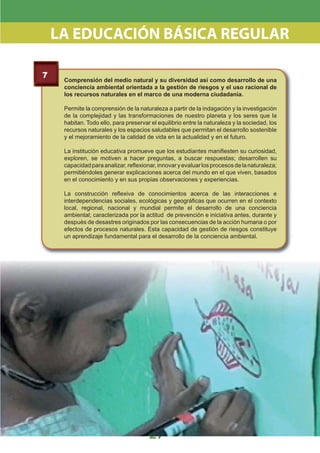 DiseñO Curricular Nacional 2009