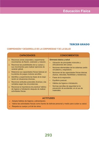 DiseñO Curricular Nacional 2009