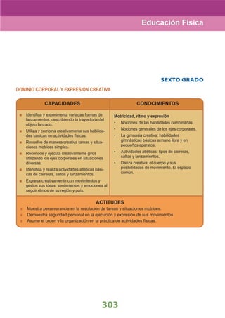 DiseñO Curricular Nacional 2009