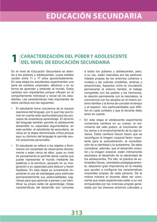 DiseñO Curricular Nacional 2009