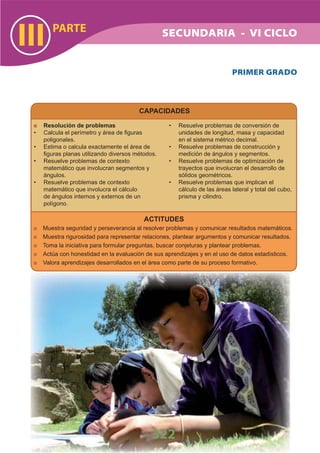 DiseñO Curricular Nacional 2009