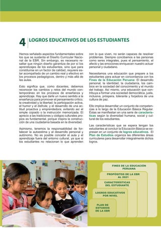 DiseñO Curricular Nacional 2009