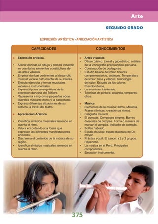 DiseñO Curricular Nacional 2009