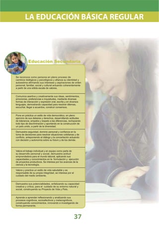 DiseñO Curricular Nacional 2009