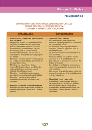 DiseñO Curricular Nacional 2009