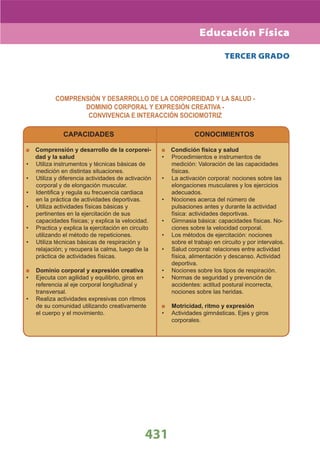 DiseñO Curricular Nacional 2009