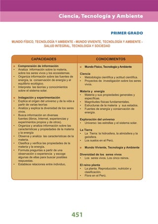 DiseñO Curricular Nacional 2009