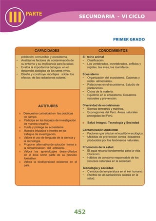 DiseñO Curricular Nacional 2009