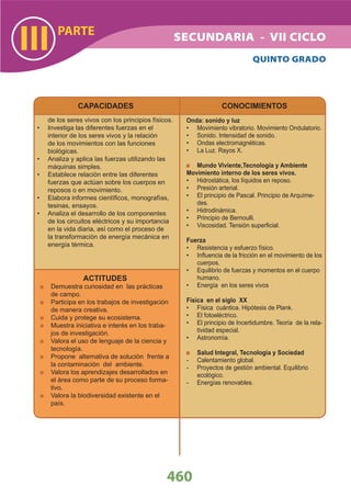 DiseñO Curricular Nacional 2009