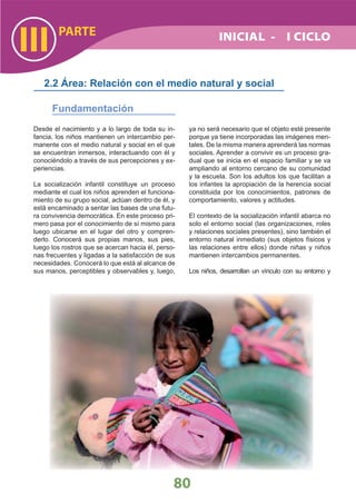 DiseñO Curricular Nacional 2009