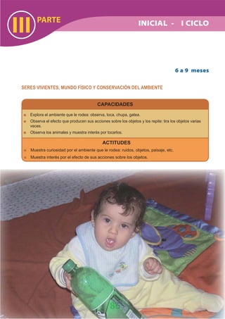 DiseñO Curricular Nacional 2009