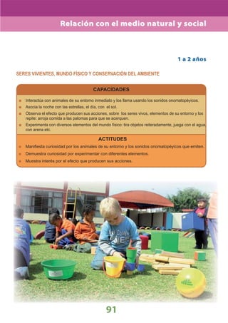 DiseñO Curricular Nacional 2009