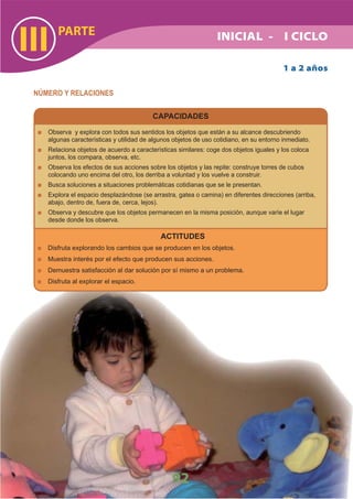 DiseñO Curricular Nacional 2009